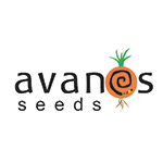 avanos